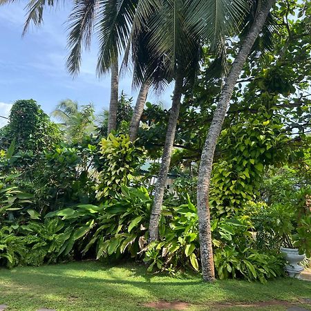 Lohas Beach Resort Villa Kalutara Exterior foto