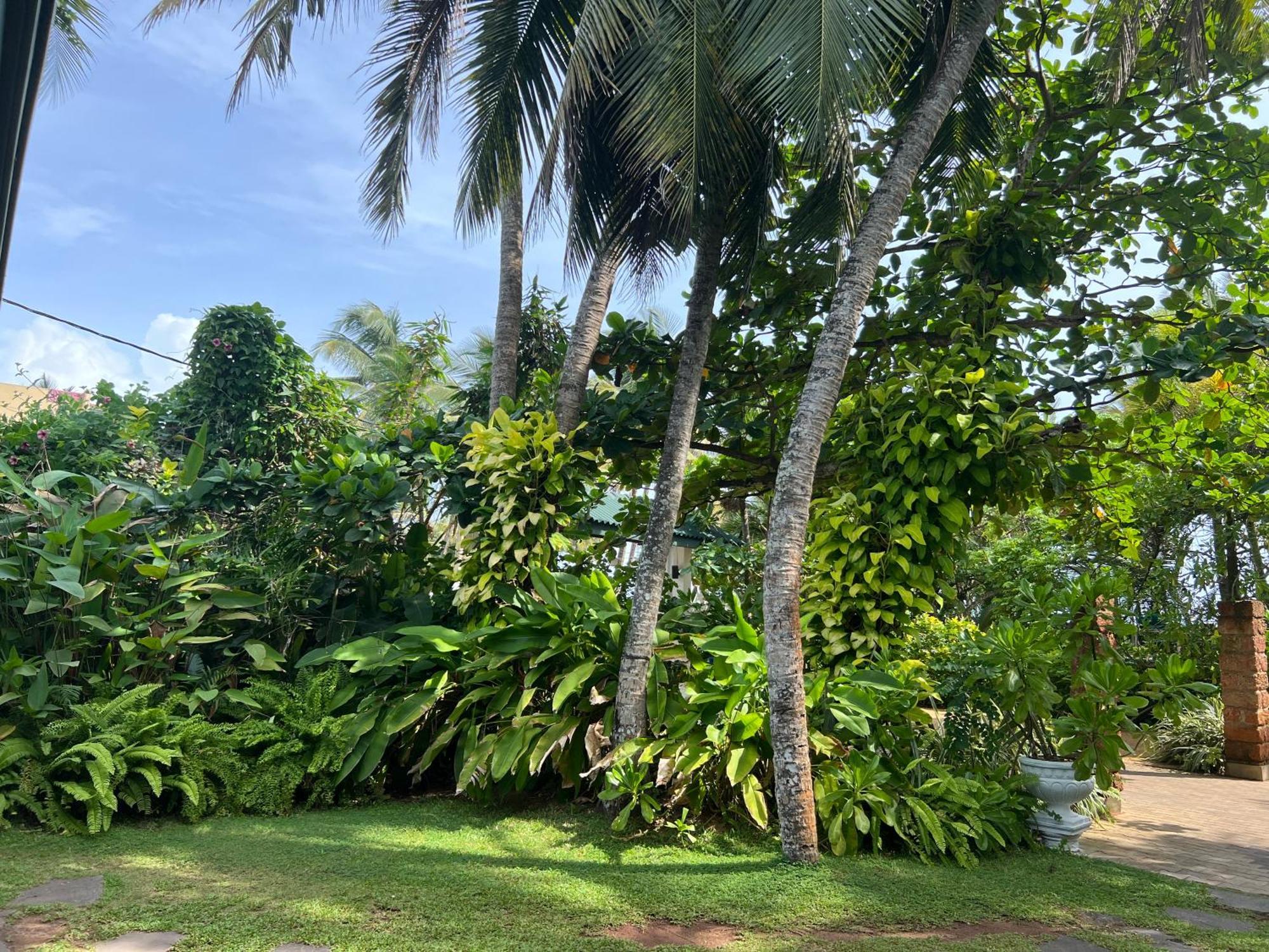 Lohas Beach Resort Villa Kalutara Exterior foto