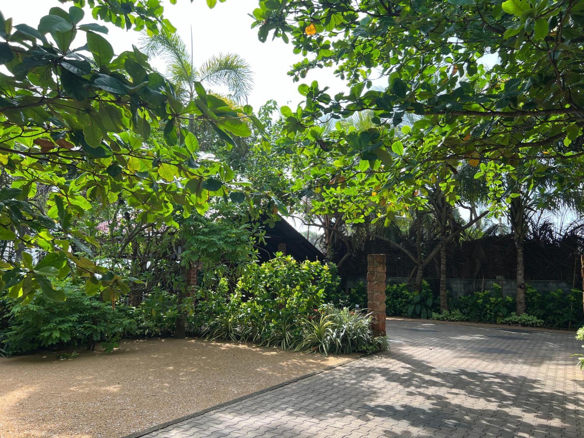Lohas Beach Resort Villa Kalutara Exterior foto