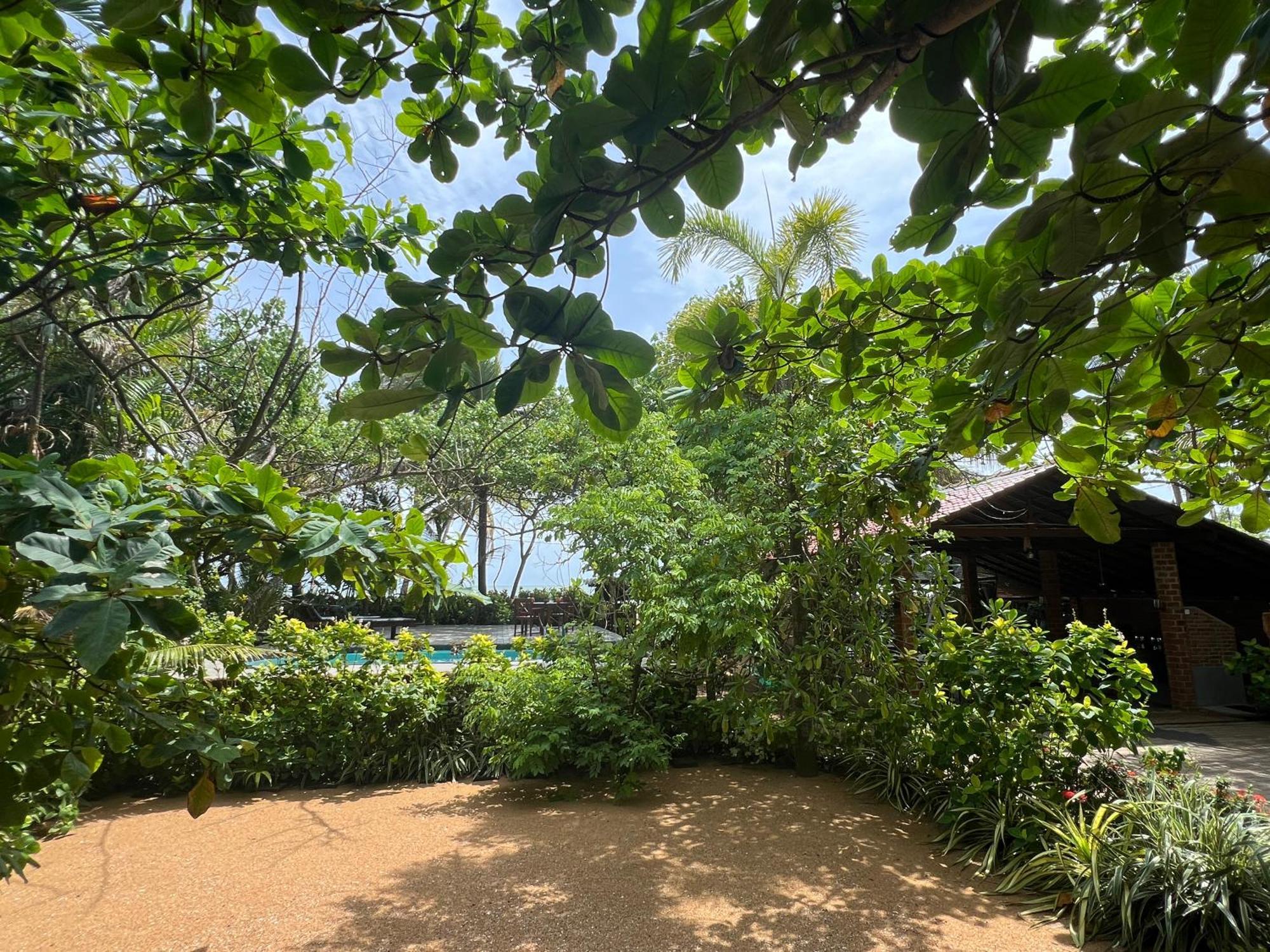 Lohas Beach Resort Villa Kalutara Exterior foto