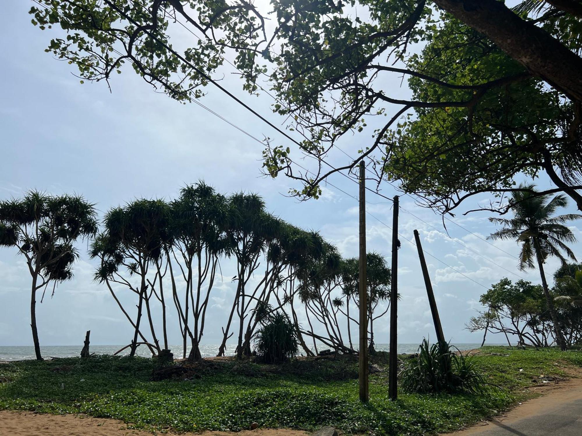 Lohas Beach Resort Villa Kalutara Exterior foto