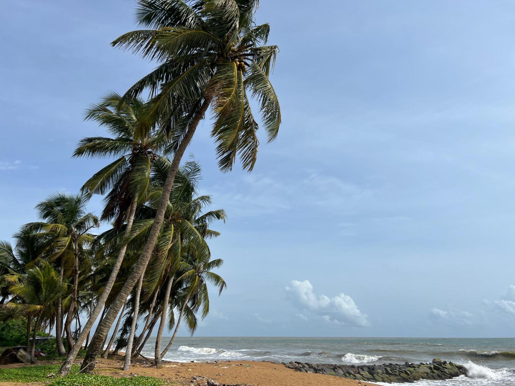 Lohas Beach Resort Villa Kalutara Exterior foto